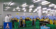 全面加强农业、工业、进口等环节的泉源管理