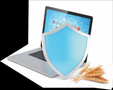 而美”中国方案界各地落地